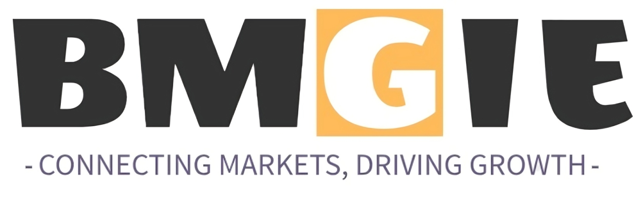 BMGIE Logo