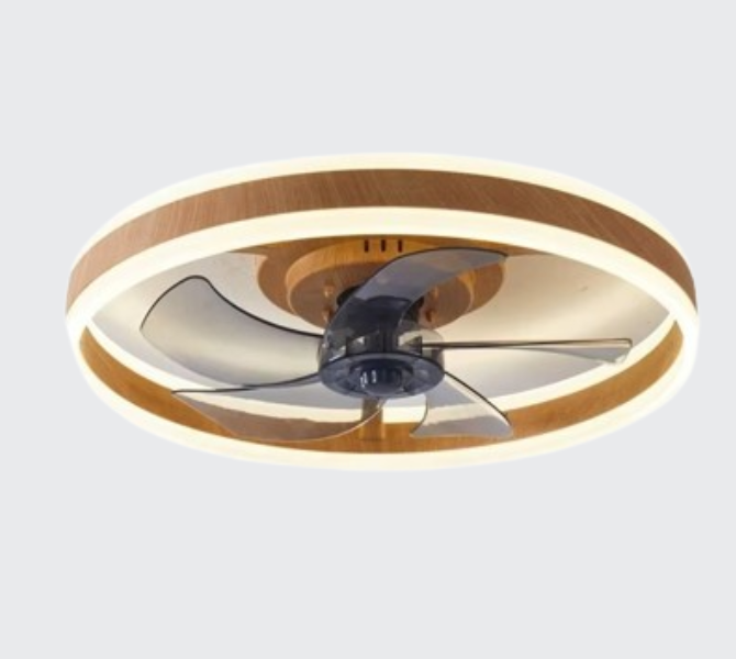 led-fan